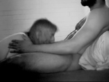 More Cushion For The Pushing She Likes BBC